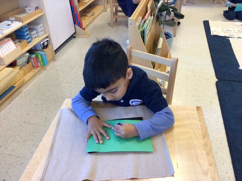 Why Montessori Schools Prioritize Hands-On, Experiential Learning