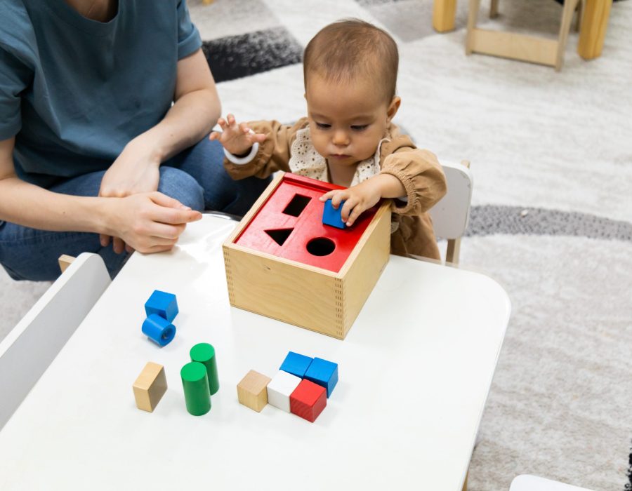 toddler-playing-with-montessori-imbucare-shapes-bo-2023-11-27-05-16-20-utc-scaled.jpg