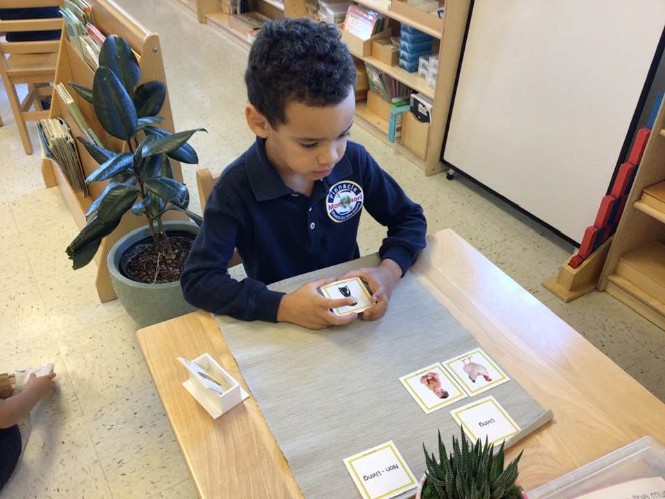 Why Montessori Education is the Best Approach for Every Child