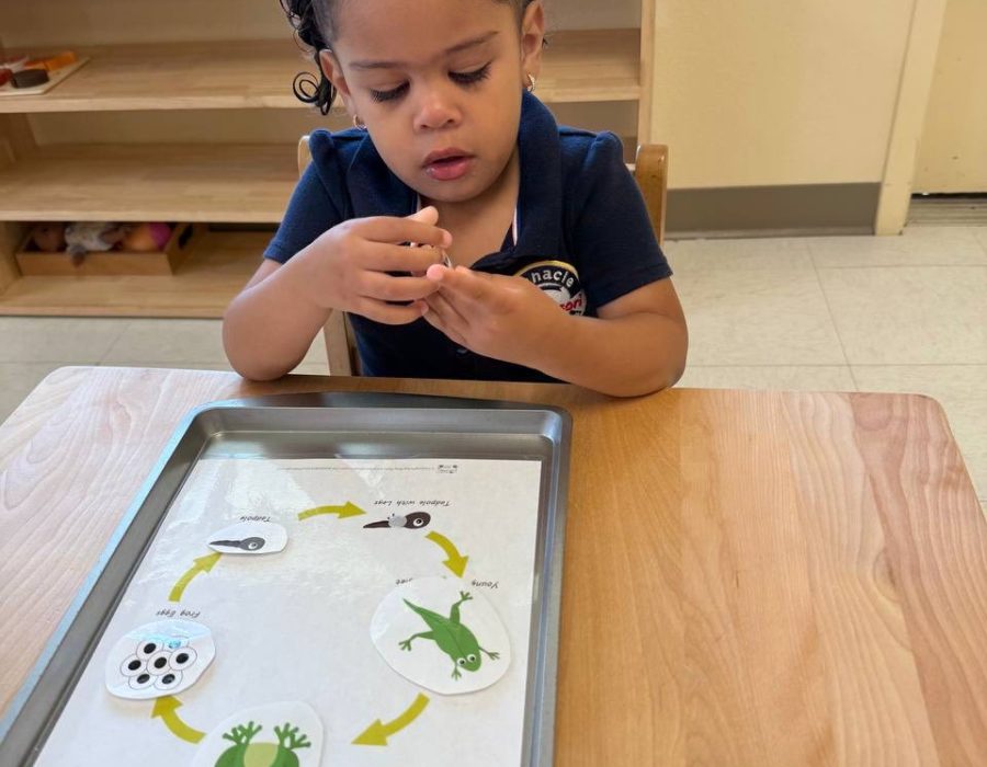 496480005_1273884971404696_1861700686990836719_n